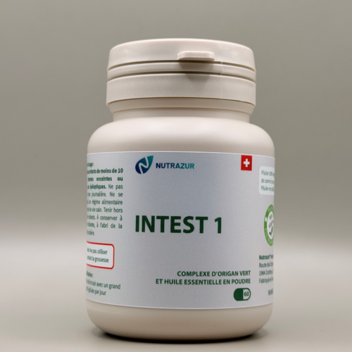 Intest1